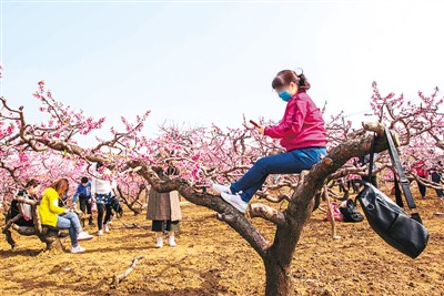 半岛官方体育少少德行失范情景激发全社会平凡闭怀和谈论 “公民德行不是写正在纸上挂正在墙上的”(图1)