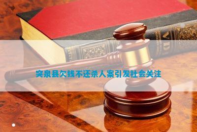 突泉县欠钱不半岛官方体育还杀人案激励社会眷注(图3)