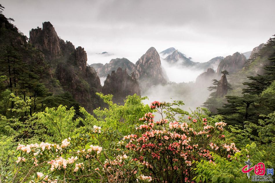 五一旅逛推选：黄山照相师撰写的旅逛攻略(图)半岛官方体育(图1)