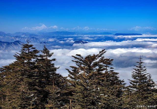 超仔细的四川旅逛攻略最佳门道四川旅逛怎么半岛官方体育安插看完如何玩了！(图11)