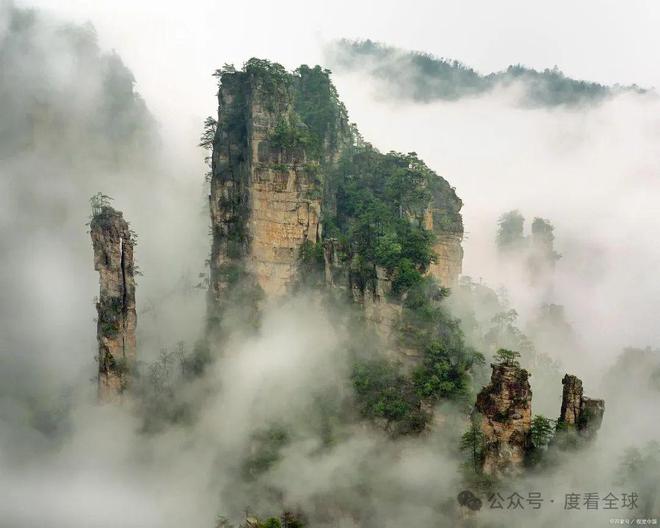 暑假去哪旅逛适当？看这半岛官方体育篇就够了全是干货保举！(图4)