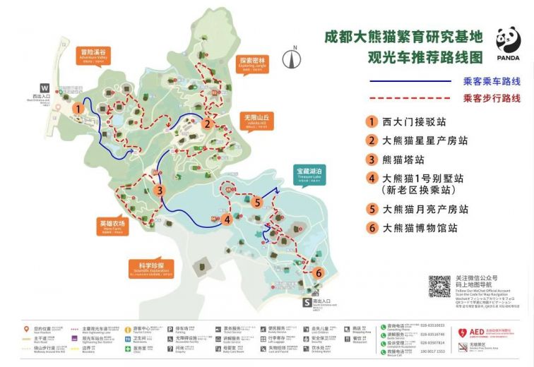 2024成都大熊猫基地旅逛全攻略（门票+所在+交通）半岛官方体育(图1)